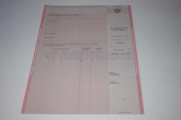 Академическая Справка Техникума 2004г в Архангельске