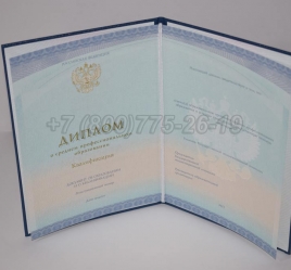 Диплом Техникума 2016г СпецБланк в Архангельске