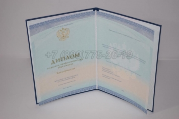 Диплом Техникума 2017г СпецБланк в Архангельске