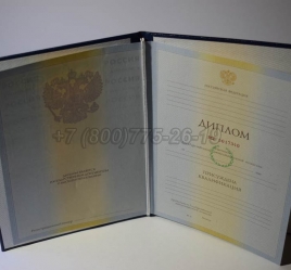 Диплом ВУЗа 2010 года в Архангельске